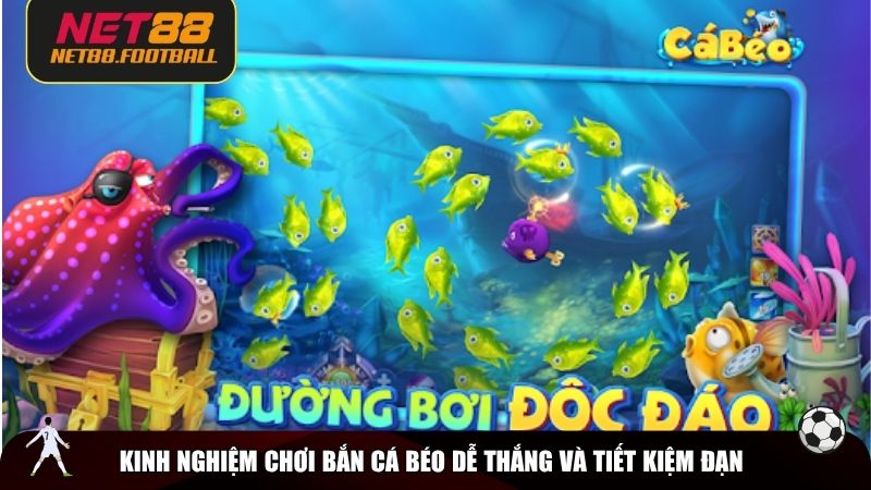 Những mẹo giúp bạn săn cá béo hiệu quả hơn