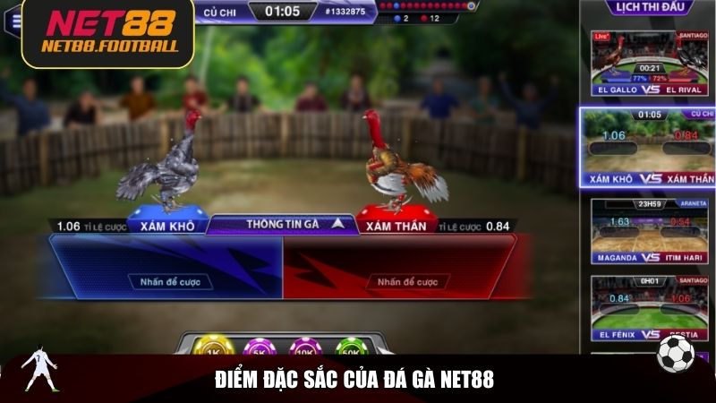 Điểm đặc sắc của đá gà NET88