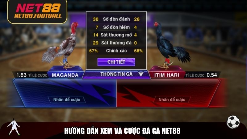 Hướng dẫn xem và cược đá gà NET88