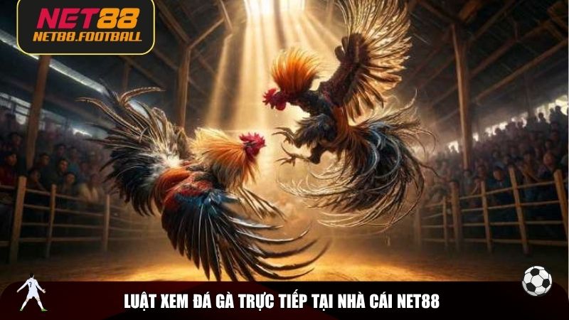 Luật xem đá gà trực tiếp tại nhà cái NET88