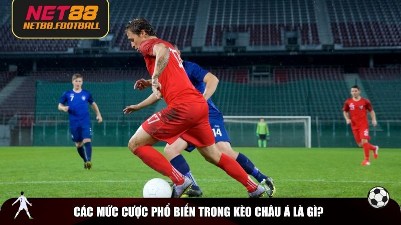 Các mức cược phổ biến trong kèo châu Á là gì?
