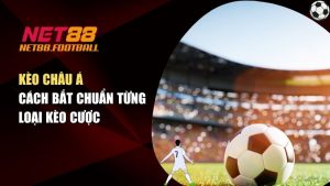Kèo Châu Á Là Gì? Cách Bắt Chuẩn Từng Loại Kèo Cược