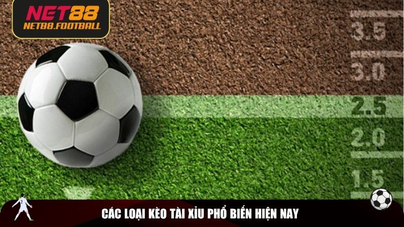 Các loại kèo tài xỉu hiện đang phổ biến hiện nay