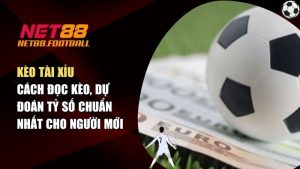 Kèo Tài Xỉu – Cách Đọc Kèo, Dự Đoán Tỷ Số Chuẩn Nhất Cho Người Mới