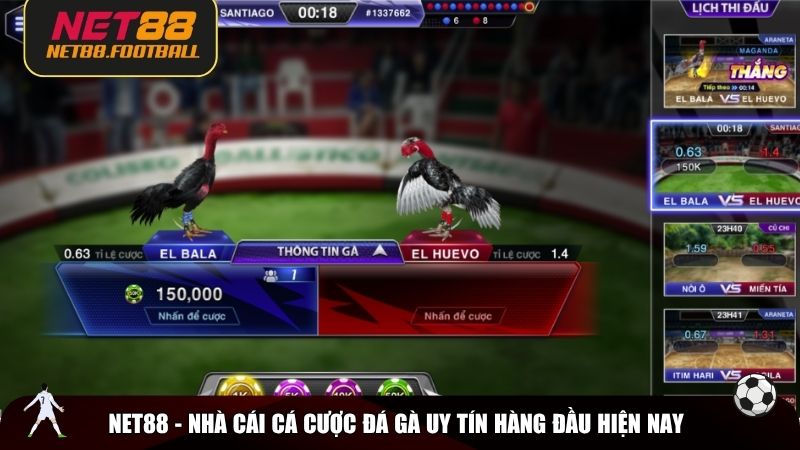 NET88 - Nhà cái cá cược đá gà uy tín hàng đầu hiện nay