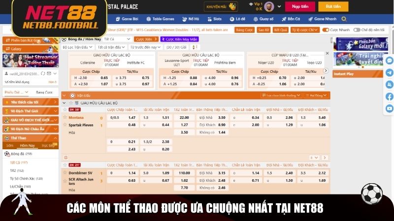 Các môn thể thao được ưa chuộng nhất tại NET88