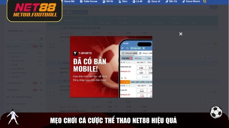 Mẹo chơi cá cược thể thao NET88 hiệu quả