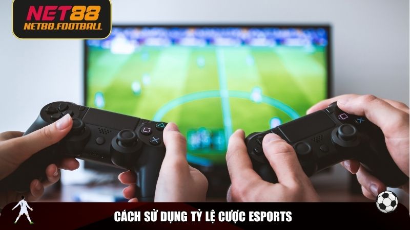 Cách sử dụng tỷ lệ cược Esports